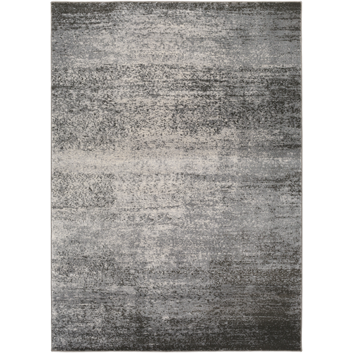 Surya Floor Coverings - ADO1008 Amadeo 5'3" x 7'3" Area Rug - MyTinyHaus, [product_description]