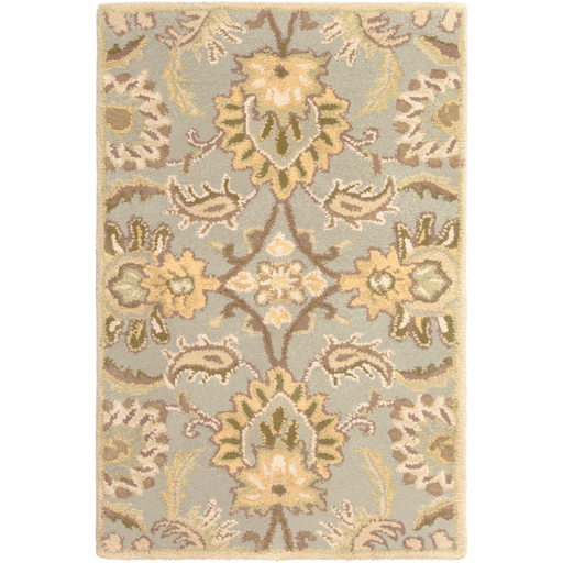 Surya Floor Coverings - CAE1111 Caesar 2' x 3' Area Rug