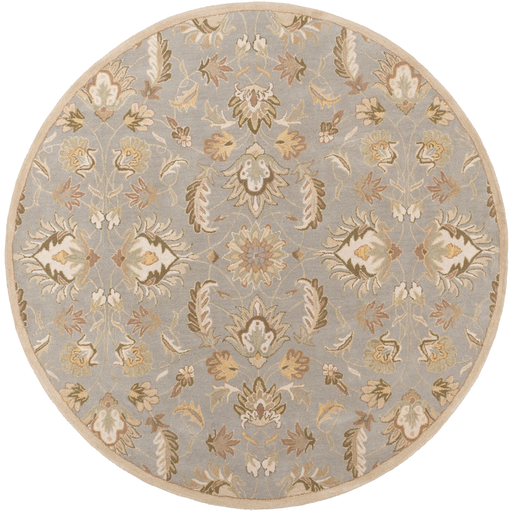 Surya Floor Coverings - CAE1140 Caesar 2' x 3' Area Rug