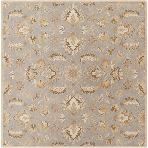 Surya Floor Coverings - CAE1140 Caesar 2' x 3' Area Rug