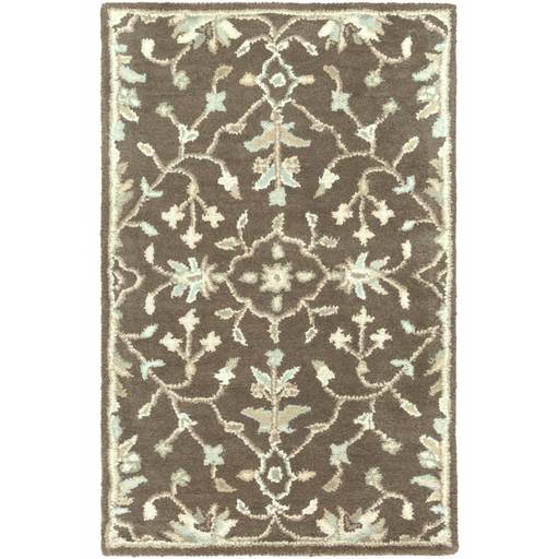 Surya Floor Coverings - CAE1150 Caesar 2' x 3' Area Rug