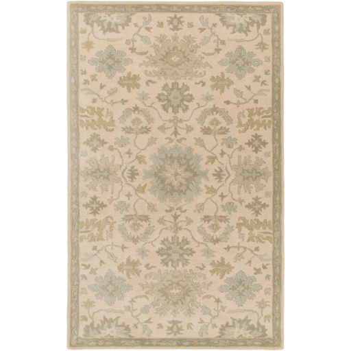 Surya Floor Coverings - CAE1161 Caesar 2' x 4' Hearth Area Rug