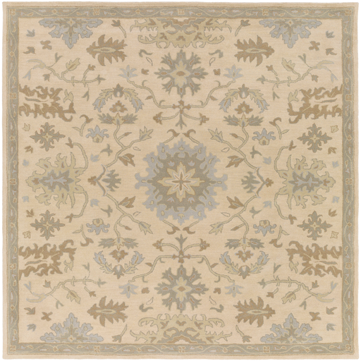 Surya Floor Coverings - CAE1161 Caesar 2' x 4' Hearth Area Rug