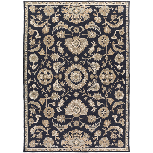 Surya Floor Coverings - CAE1164 Caesar 2' x 4' Hearth Area Rug