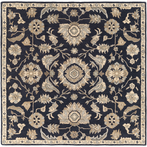 Surya Floor Coverings - CAE1164 Caesar 2' x 4' Hearth Area Rug