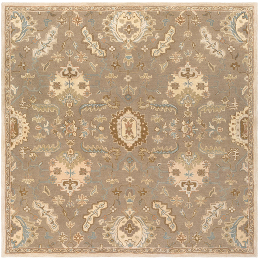 Surya Floor Coverings - CAE1167 Caesar 2' x 4' Hearth Area Rug