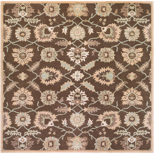 Surya Floor Coverings - CAE1175 Caesar 2' x 4' Hearth Area Rug