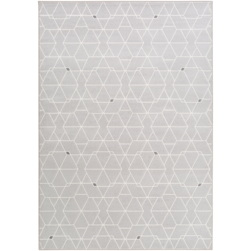 Surya Floor Coverings - CPO3713 Contempo 5'3" x 7'6" Area Rug