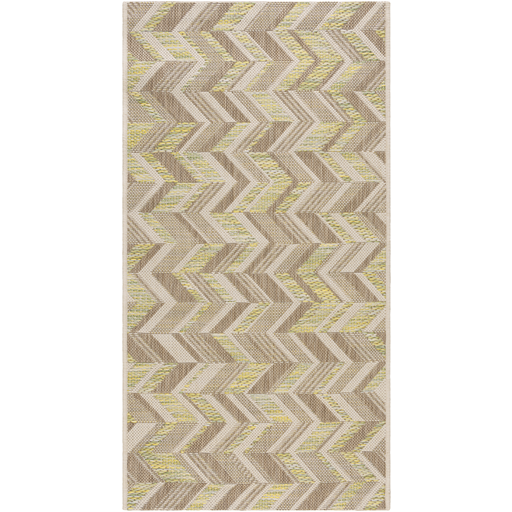 Surya Floor Coverings - STZ6005 Santa Cruz 2' x 3'7" Area Rug