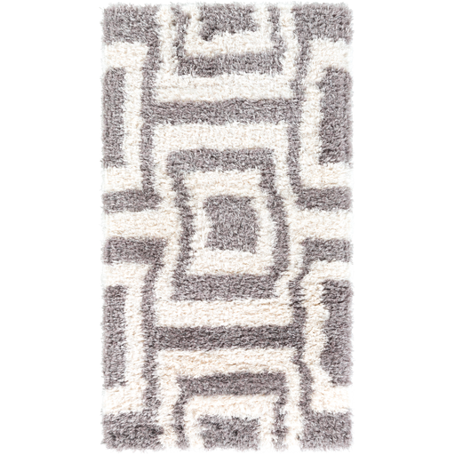 Surya Floor Coverings - WNF1004 Winfield 2' x 3'7" Area Rug